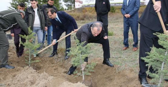 1200 FİDAN TOPRAKLA BULUŞTU