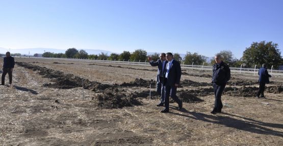 26 dönümde1 milyon fidan yetiştirilecek