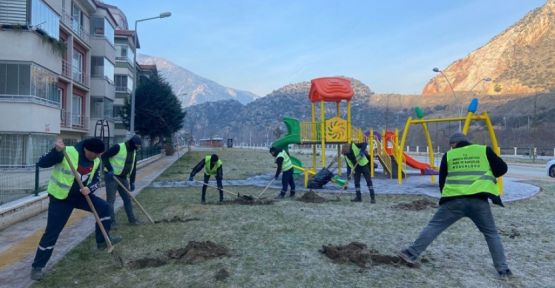   Belediye Amasya’yı Elma Ağaçlarıyla Donatıyor