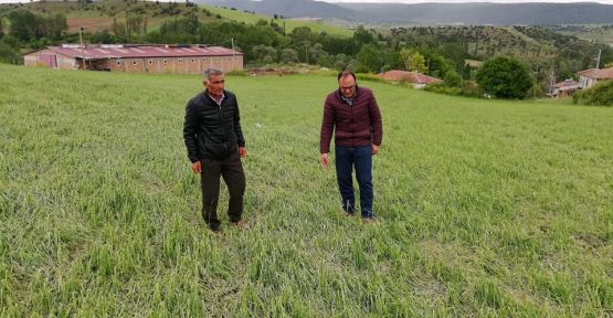 DEVLET BABA  DOLU VURAN  KÖYLERDE