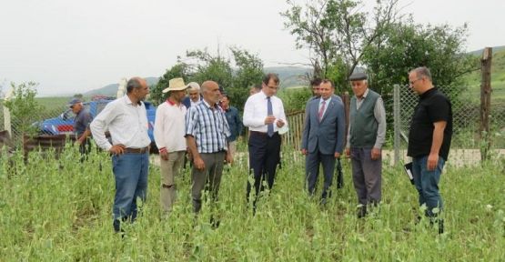 DOLUDAN ETKİLENEN KÖYLERDE  İNCELEME YAPTI