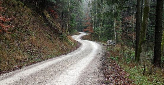 Orman yolu yaptırılacak