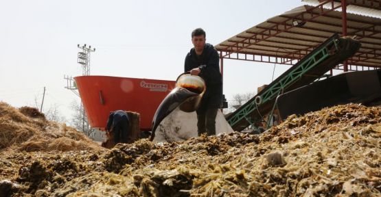   RASYON ÇALIŞMALARI  DEVAM EDİYOR   