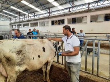 SINIFLANDIRMA ÇALIŞMALARINA  START VERİLDİ