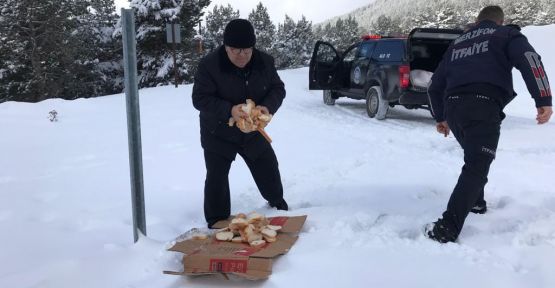 yaban hayvanları için doğaya yem ve ekmek bırakıldı