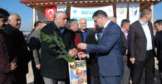 10 bin fidan dağıtıldı