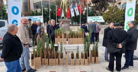 2100 ADET FİDAN DAĞITILDI