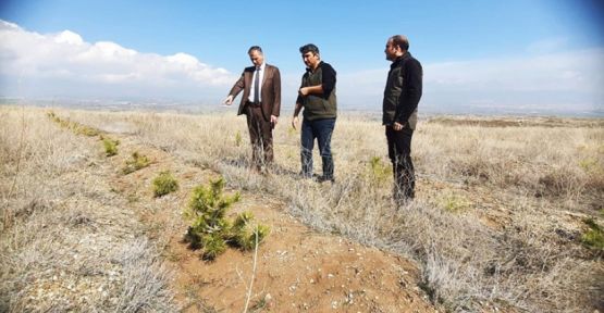  Hatıra Ormanı Kuruluyor