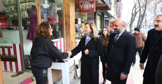 MHP MYK ÜYELERİ MERZİFON'DA  ESNAFIN NABZINI TUTTU