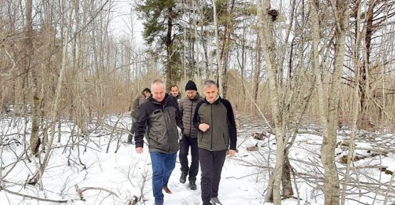 SİLVİKÜLTÜREL BAKIM ÇALIŞMALARI DEVAM EDİYOR